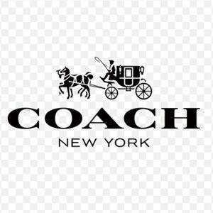 🌺 COACH WALLET WRISTLET MINI BAG